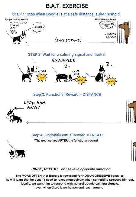 friandis* - Behavior Adjustment Training (BAT) - Page 14 Boogie-bat11