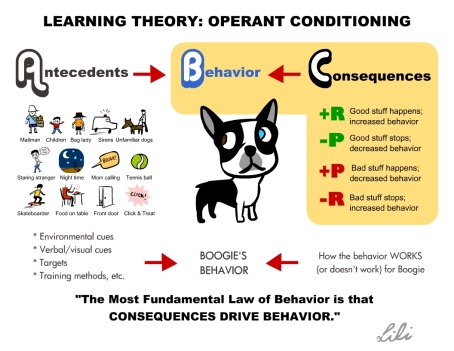 ABC-learningtheory