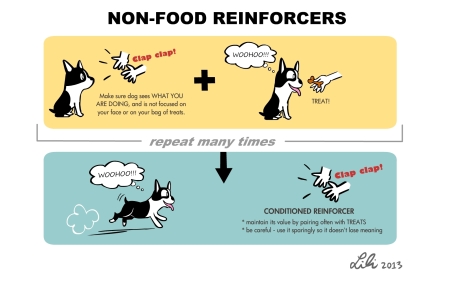 non-food-reinforcer1