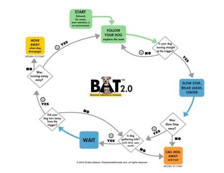 BAT2.0flowchart